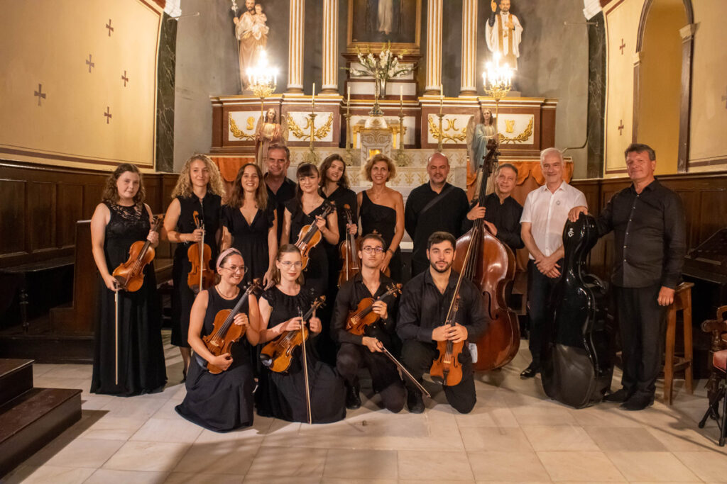 ANO festival orchestra (AFO)